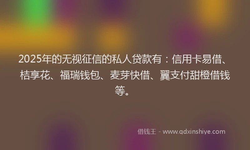 2025年的无视征信的私人贷款有：信用卡易借、桔享花、福瑞钱包、麦芽快借、翼支付甜橙借钱等。