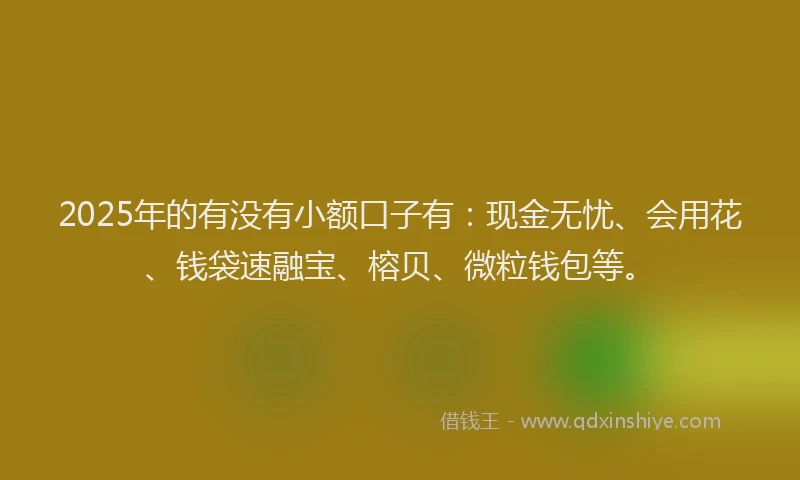 2025年的有没有小额口子有：现金无忧、会用花、钱袋速融宝、榕贝、微粒钱包等。