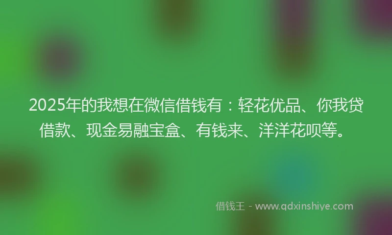 2025年的我想在微信借钱有：轻花优品、你我贷借款、现金易融宝盒、有钱来、洋洋花呗等。