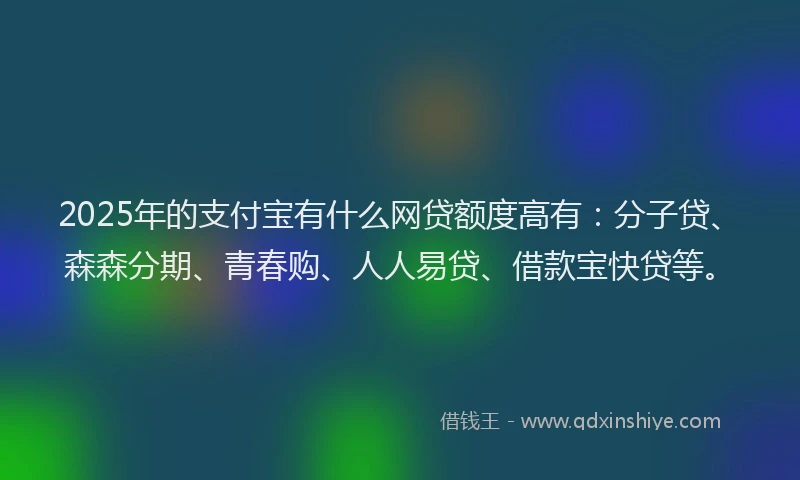 2025年的支付宝有什么网贷额度高有：分子贷、森森分期、青春购、人人易贷、借款宝快贷等。
