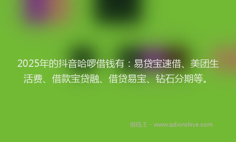2025年的抖音哈啰借钱有：易贷宝速借、美团生活费、借款宝贷融、借贷易宝、钻石分期等。