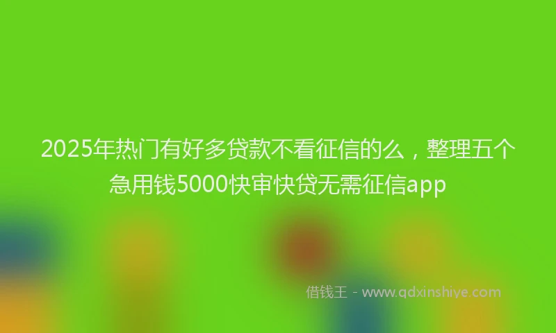2025年热门有好多贷款不看征信的么，整理五个急用钱5000快审快贷无需征信app