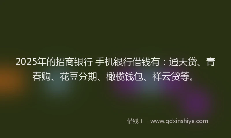 2025年的招商银行 手机银行借钱有：通天贷、青春购、花豆分期、橄榄钱包、祥云贷等。