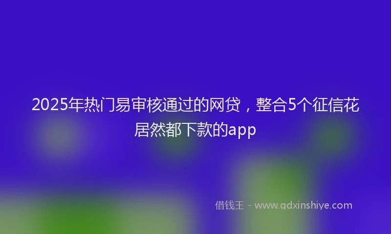 2025年热门易审核通过的网贷，整合5个征信花居然都下款的app