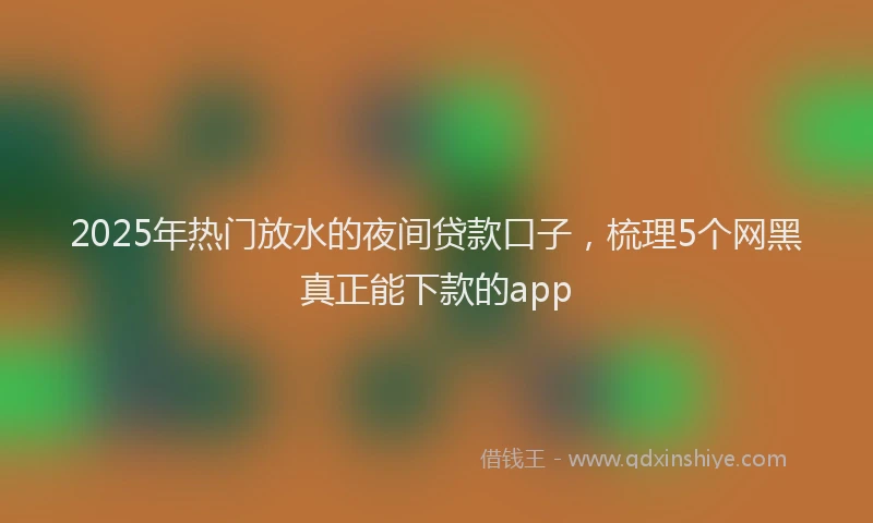 2025年热门放水的夜间贷款口子，梳理5个网黑真正能下款的app