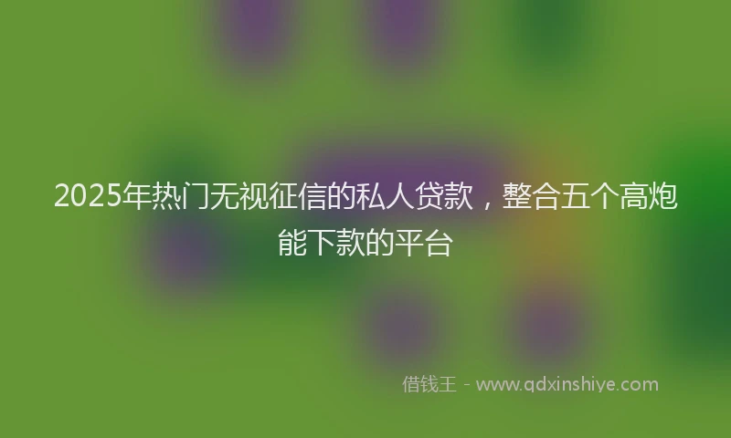 2025年热门无视征信的私人贷款，整合五个高炮能下款的平台