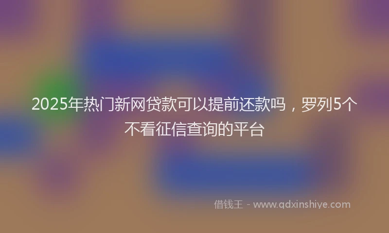2025年热门新网贷款可以提前还款吗，罗列5个不看征信查询的平台