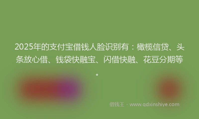 2025年的支付宝借钱人脸识别有：橄榄信贷、头条放心借、钱袋快融宝、闪借快融、花豆分期等。