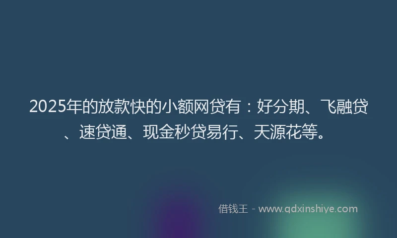 2025年的放款快的小额网贷有：好分期、飞融贷、速贷通、现金秒贷易行、天源花等。