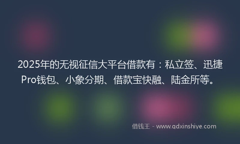 2025年的无视征信大平台借款有：私立签、迅捷Pro钱包、小象分期、借款宝快融、陆金所等。