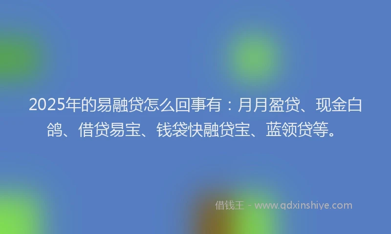 2025年的易融贷怎么回事有：月月盈贷、现金白鸽、借贷易宝、钱袋快融贷宝、蓝领贷等。