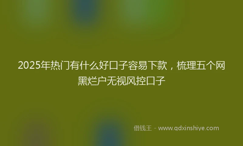 2025年热门有什么好口子容易下款，梳理五个网黑烂户无视风控口子