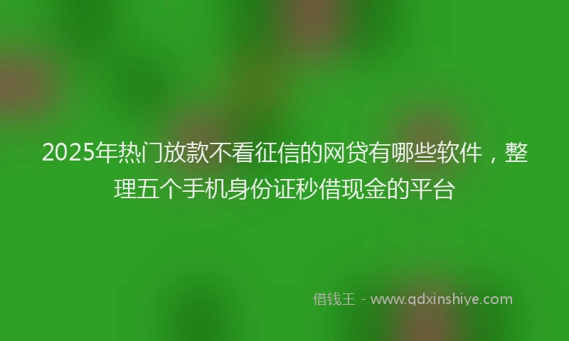2025年热门放款不看征信的网贷有哪些软件，整理五个手机身份证秒借现金的平台