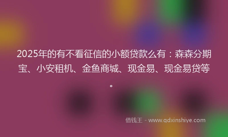 2025年的有不看征信的小额贷款么有：森森分期宝、小安租机、金鱼商城、现金易、现金易贷等。