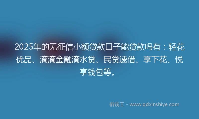 2025年的无征信小额贷款口子能贷款吗有：轻花优品、滴滴金融滴水贷、民贷速借、享下花、悦享钱包等。