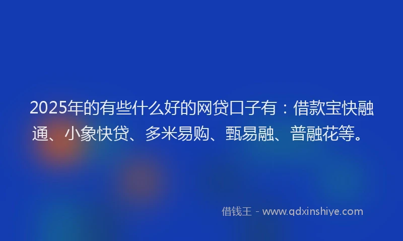 2025年的有些什么好的网贷口子有：借款宝快融通、小象快贷、多米易购、甄易融、普融花等。
