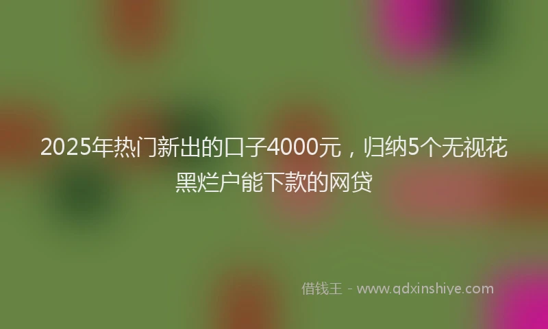 2025年热门新出的口子4000元，归纳5个无视花黑烂户能下款的网贷