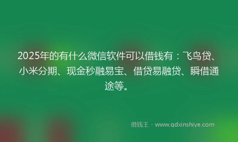 2025年的有什么微信软件可以借钱有：飞鸟贷、小米分期、现金秒融易宝、借贷易融贷、瞬借通途等。