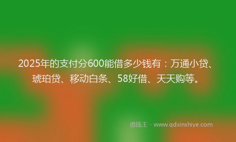 2025年的支付分600能借多少钱有：万通小贷、琥珀贷、移动白条、58好借、天天购等。