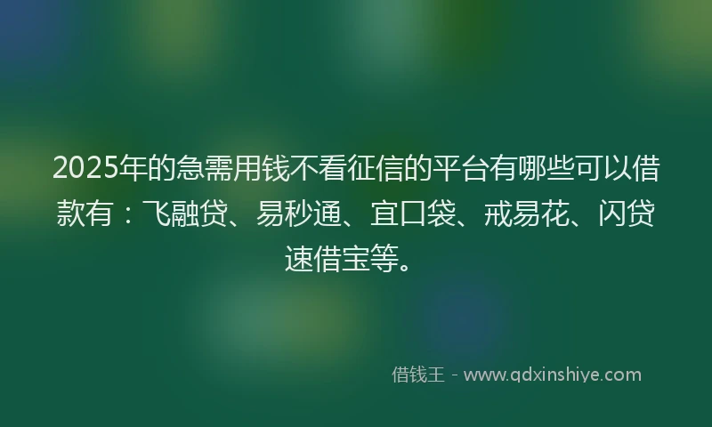 2025年的急需用钱不看征信的平台有哪些可以借款有：飞融贷、易秒通、宜口袋、戒易花、闪贷速借宝等。