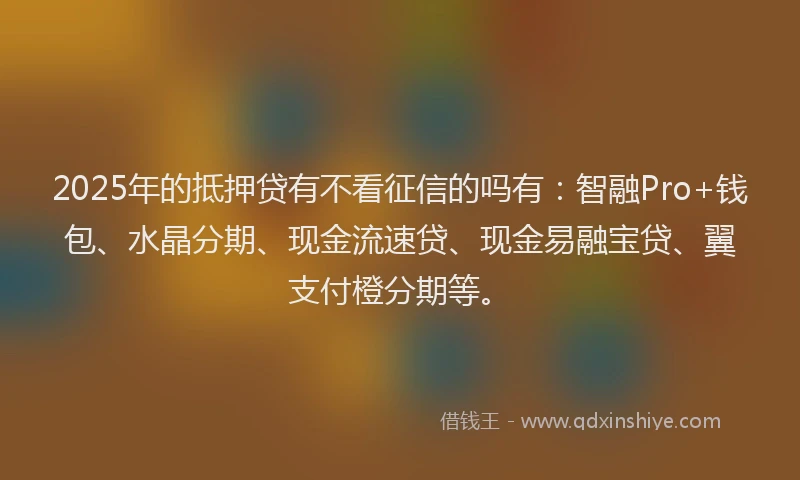 2025年的抵押贷有不看征信的吗有：智融Pro+钱包、水晶分期、现金流速贷、现金易融宝贷、翼支付橙分期等。