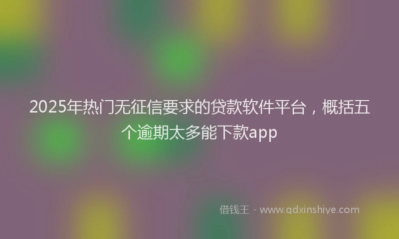 2025年热门无征信要求的贷款软件平台，概括五个逾期太多能下款app
