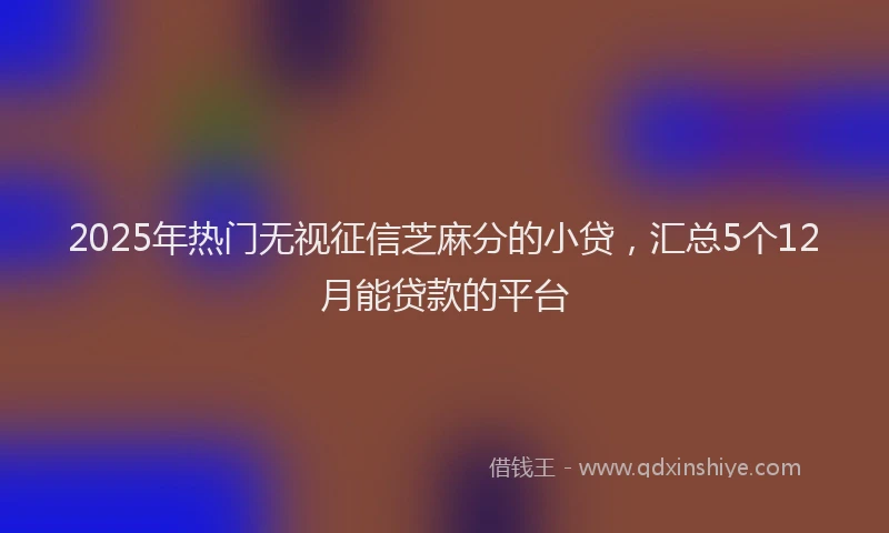 2025年热门无视征信芝麻分的小贷，汇总5个12月能贷款的平台