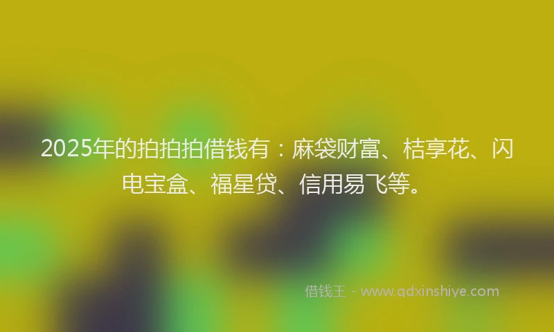 2025年的拍拍拍借钱有：麻袋财富、桔享花、闪电宝盒、福星贷、信用易飞等。