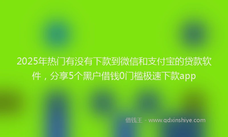 2025年热门有没有下款到微信和支付宝的贷款软件，分享5个黑户借钱0门槛极速下款app