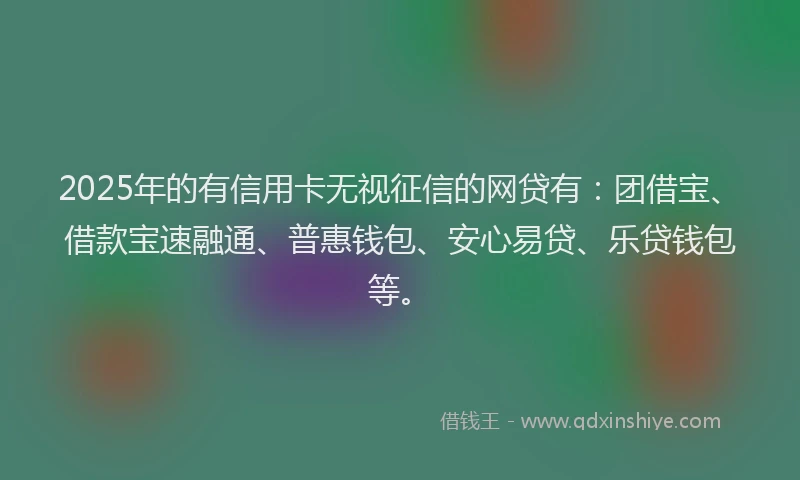 2025年的有信用卡无视征信的网贷有：团借宝、借款宝速融通、普惠钱包、安心易贷、乐贷钱包等。