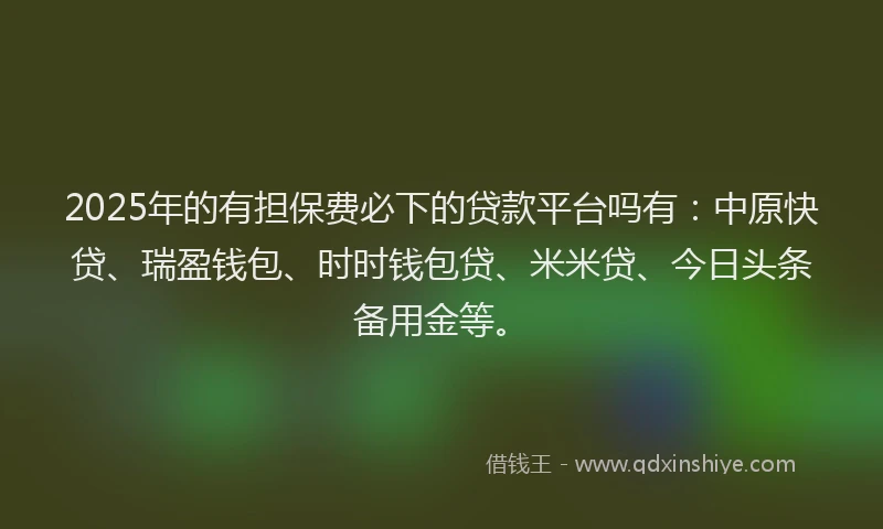 2025年的有担保费必下的贷款平台吗有：中原快贷、瑞盈钱包、时时钱包贷、米米贷、今日头条备用金等。