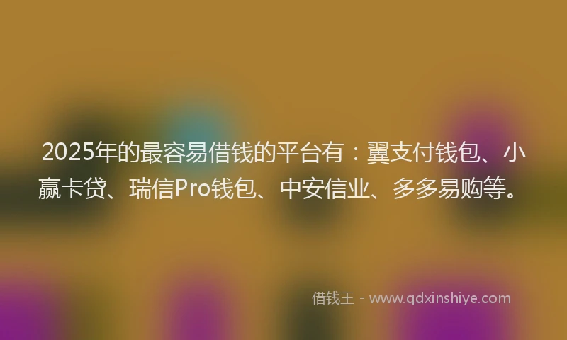2025年的最容易借钱的平台有：翼支付钱包、小赢卡贷、瑞信Pro钱包、中安信业、多多易购等。