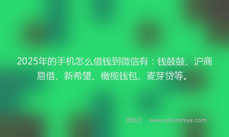 2025年的手机怎么借钱到微信有：钱鼓鼓、沪商易借、新希望、橄榄钱包、麦芽贷等。