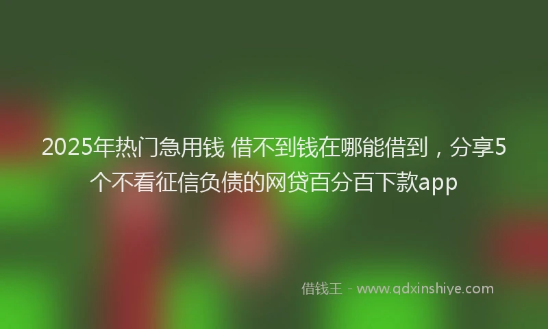 2025年热门急用钱 借不到钱在哪能借到，分享5个不看征信负债的网贷百分百下款app