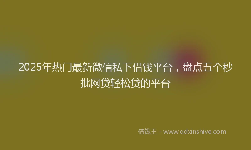 2025年热门最新微信私下借钱平台，盘点五个秒批网贷轻松贷的平台