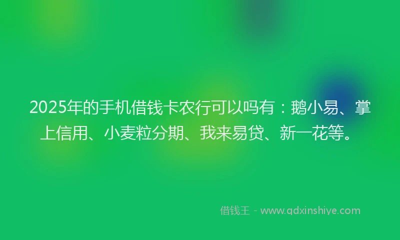 2025年的手机借钱卡农行可以吗有：鹅小易、掌上信用、小麦粒分期、我来易贷、新一花等。