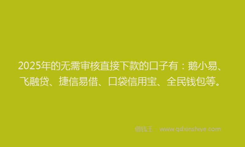 2025年的无需审核直接下款的口子有：鹅小易、飞融贷、捷信易借、口袋信用宝、全民钱包等。