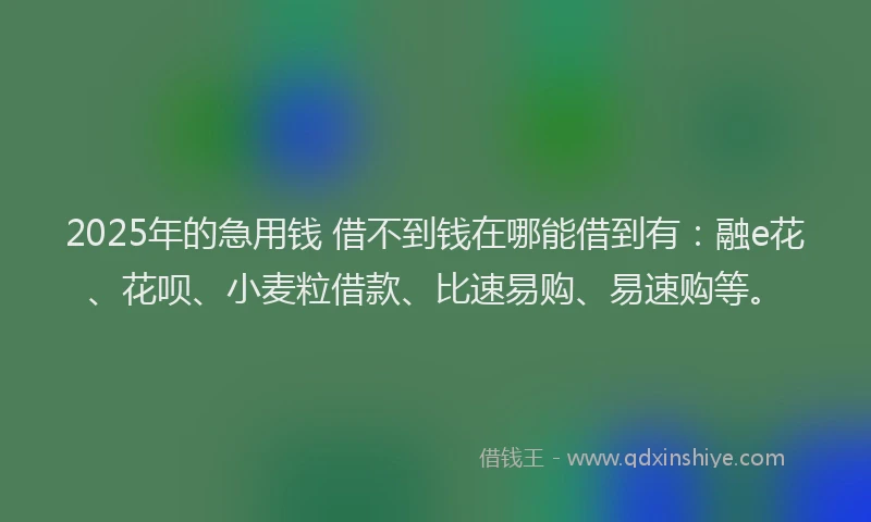 2025年的急用钱 借不到钱在哪能借到有：融e花、花呗、小麦粒借款、比速易购、易速购等。