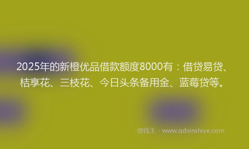 2025年的新橙优品借款额度8000有：借贷易贷、桔享花、三枝花、今日头条备用金、蓝莓贷等。
