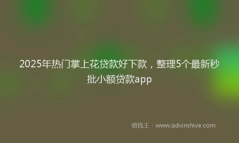 2025年热门掌上花贷款好下款，整理5个最新秒批小额贷款app