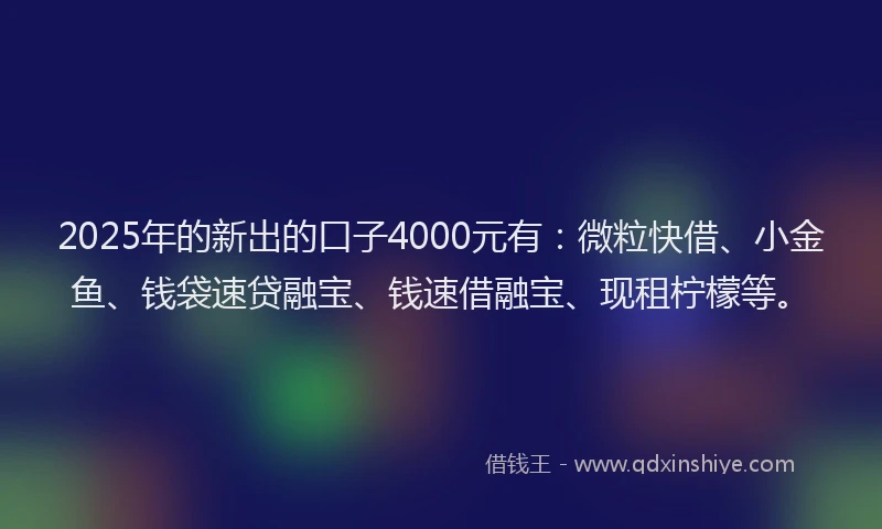 2025年的新出的口子4000元有：微粒快借、小金鱼、钱袋速贷融宝、钱速借融宝、现租柠檬等。