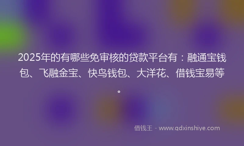 2025年的有哪些免审核的贷款平台有：融通宝钱包、飞融金宝、快鸟钱包、大洋花、借钱宝易等。
