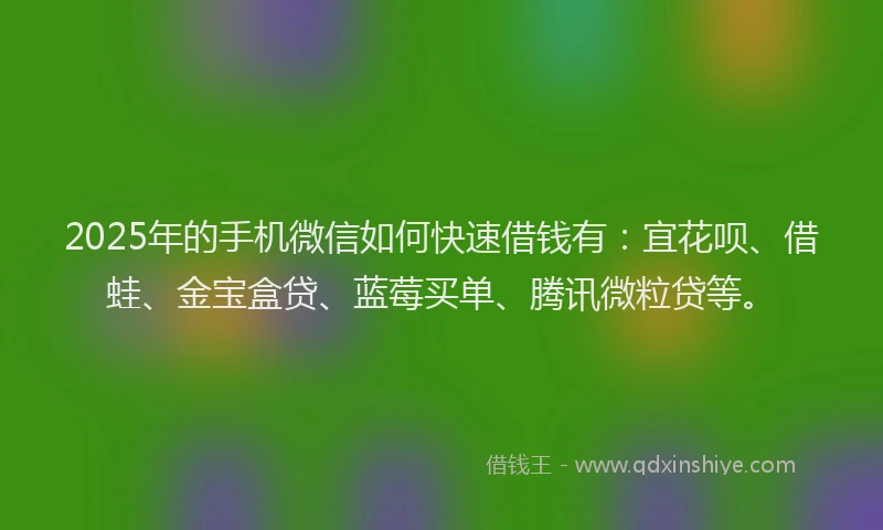 2025年的手机微信如何快速借钱有：宜花呗、借蛙、金宝盒贷、蓝莓买单、腾讯微粒贷等。