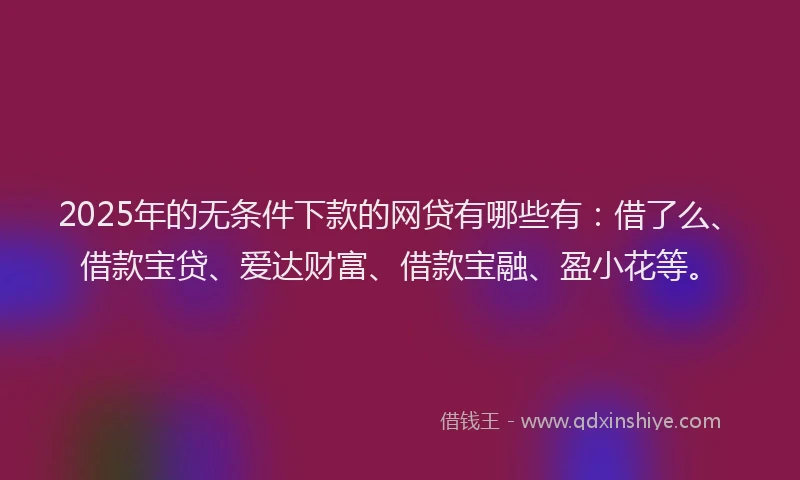 2025年的无条件下款的网贷有哪些有：借了么、借款宝贷、爱达财富、借款宝融、盈小花等。