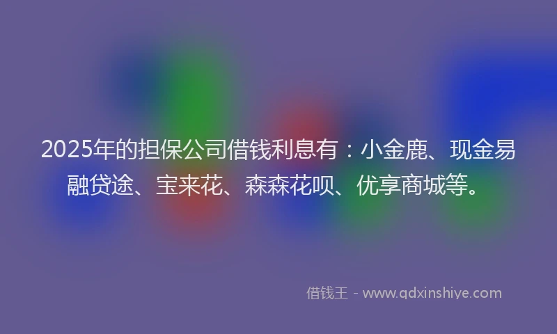 2025年的担保公司借钱利息有：小金鹿、现金易融贷途、宝来花、森森花呗、优享商城等。