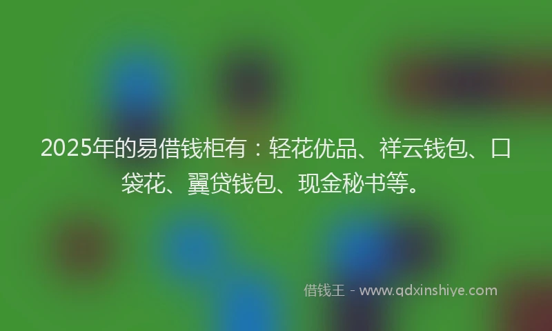 2025年的易借钱柜有：轻花优品、祥云钱包、口袋花、翼贷钱包、现金秘书等。