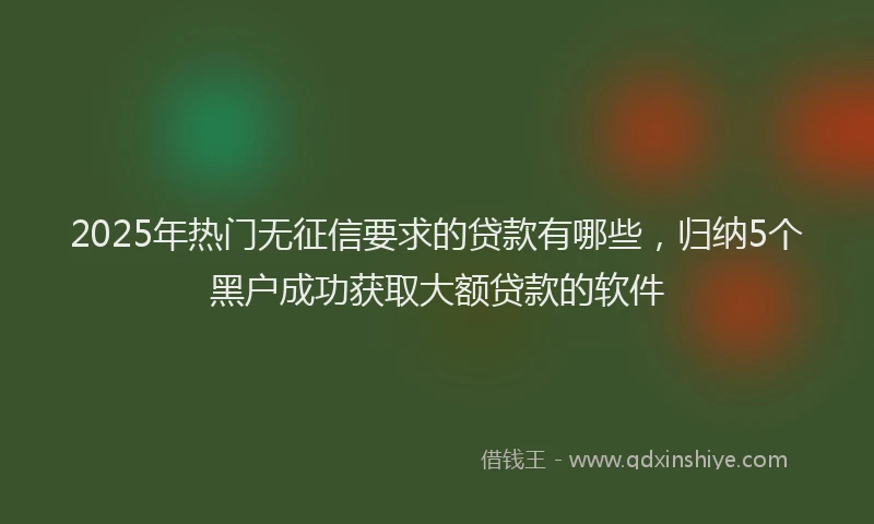 2025年热门无征信要求的贷款有哪些，归纳5个黑户成功获取大额贷款的软件