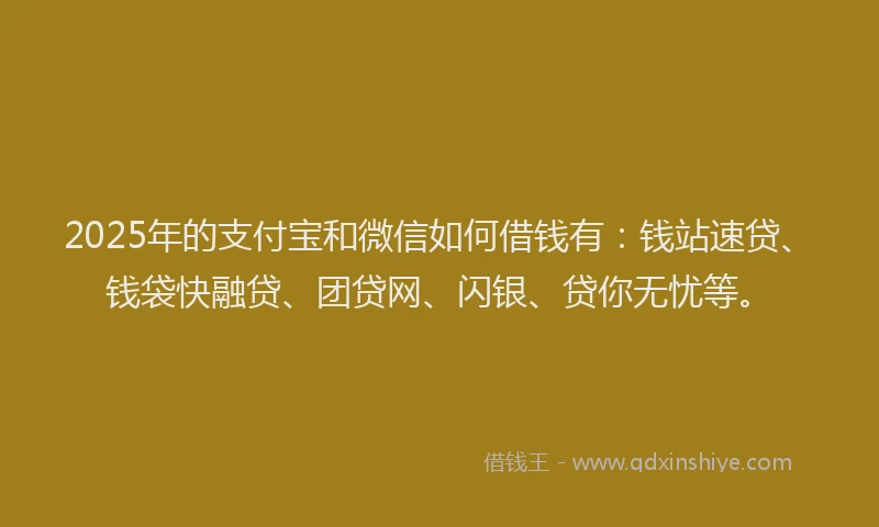 2025年的支付宝和微信如何借钱有：钱站速贷、钱袋快融贷、团贷网、闪银、贷你无忧等。