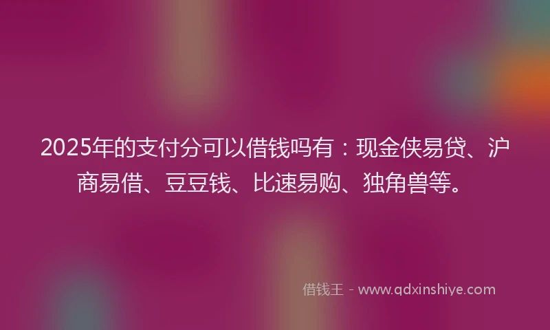 2025年的支付分可以借钱吗有：现金侠易贷、沪商易借、豆豆钱、比速易购、独角兽等。