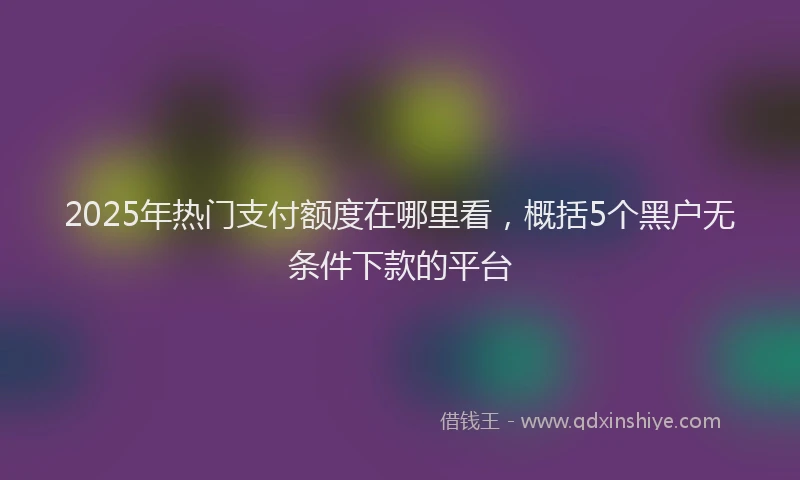 2025年热门支付额度在哪里看，概括5个黑户无条件下款的平台